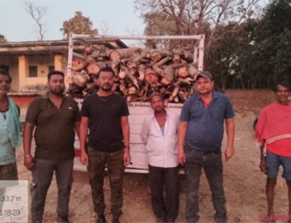 लकड़ी के अवैध परिवहन पर कार्रवाई