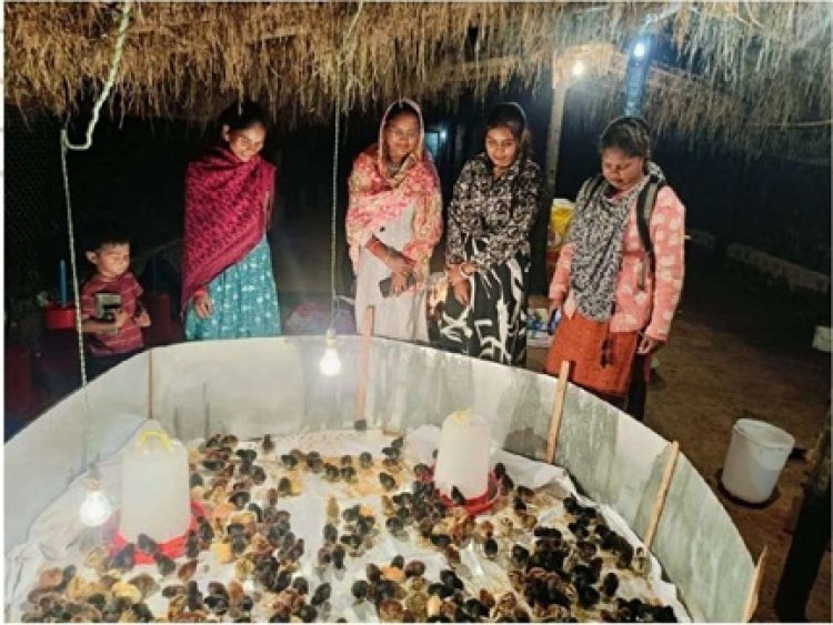 मुर्गीपालन से बदली अनुसुइया नेताम की जिंदगी