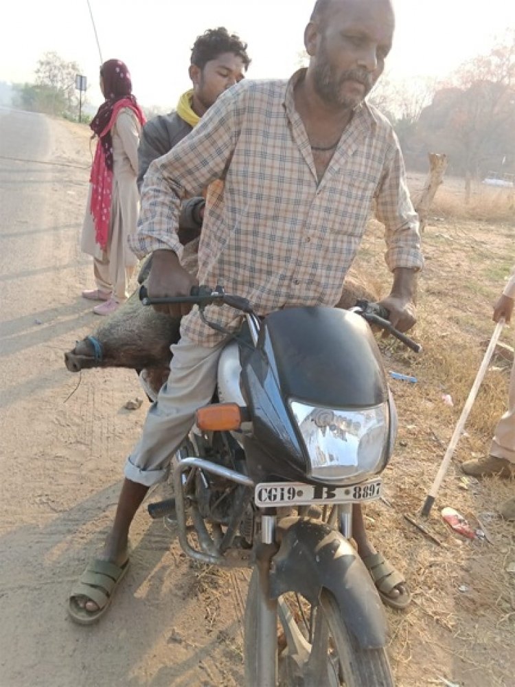 अवैध शिकार के खिलाफ वन विभाग की बड़ी कार्रवाई, सात आरोपी गिरफ्तार