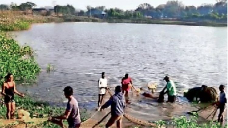 रतनपुर तालाब: बड़ी मछली की उम्मीद, मगरमच्छ ने दी झटका