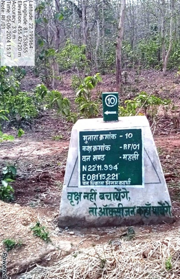 वनों की सुरक्षा को मिला नया कवच- 227 मुनारों का निर्माण पूर्ण