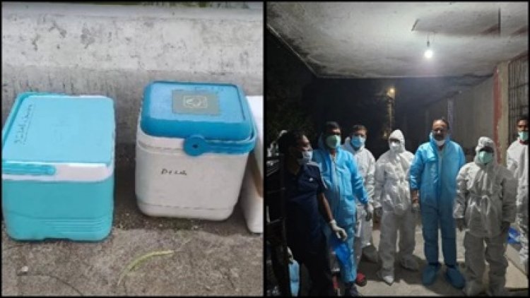 5000 पक्षियों की मौत के बाद अलर्ट: बिलासपुर पोल्ट्री फार्म में संक्रमण