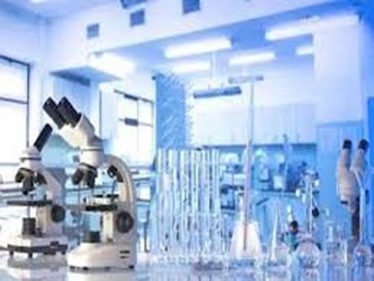 छत्तीसगढ़ उच्च शिक्षा विभाग: प्रयोगशाला परिचारक भर्ती काउंसलिंग का शेड्यूल जारी