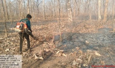 तकनीक और तत्परता से सुरक्षित हो रहे कवर्धा के जंगल