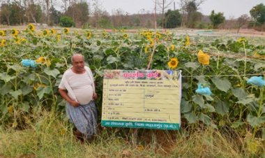 ग्रीष्मकालीन तिलहन खेती से समृद्धि की ओर अग्रसर किसान