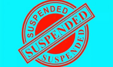 बिजली विभाग में सख्ती, दो अफसर और एक कर्मचारी पर सस्पेंशन