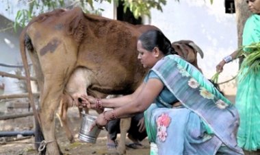 छत्तीसगढ़ का ‘लखपति ग्राम’: हर घर में हैं संपन्न महिलाएँ