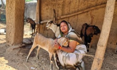 बिहान योजना से बदली जिंदगी: बकरी पालन से इंद्रनिया बाई बनीं ‘लखपति दीदी’