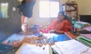 याददाश्त बढ़ाने का अनोखा तरीका: युवक के प्रदर्शन के बाद फाइल दबाने वाले अधिकारी हटाए गए