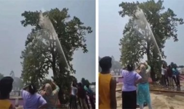 छत्तीसगढ़ में अनोखी बचाव ऑपरेशन: तोते के लिए बड़ी टीम तैनात
