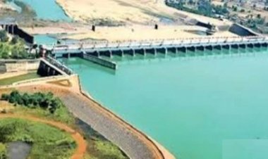 छत्तीसगढ़ और ओडिशा को ट्रिब्यूनल का अल्टीमेटम, 10 दिन में रिपोर्ट पेश करें