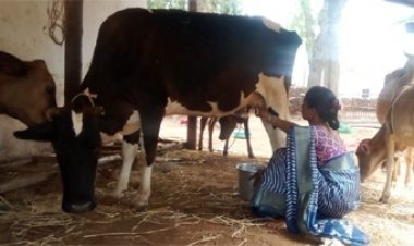 बिहान से बदली जिंदगी: गुंजवती पेगड़ बनीं “लखपति दीदी”