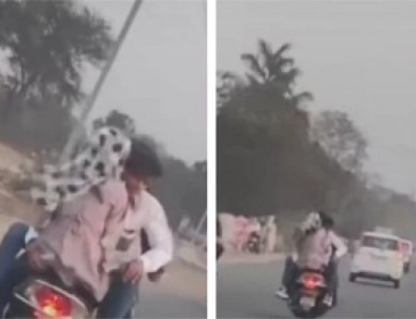 स्कूटी पर अश्लीलता और स्टंट का वीडियो वायरल, राहगीरों में आक्रोश
