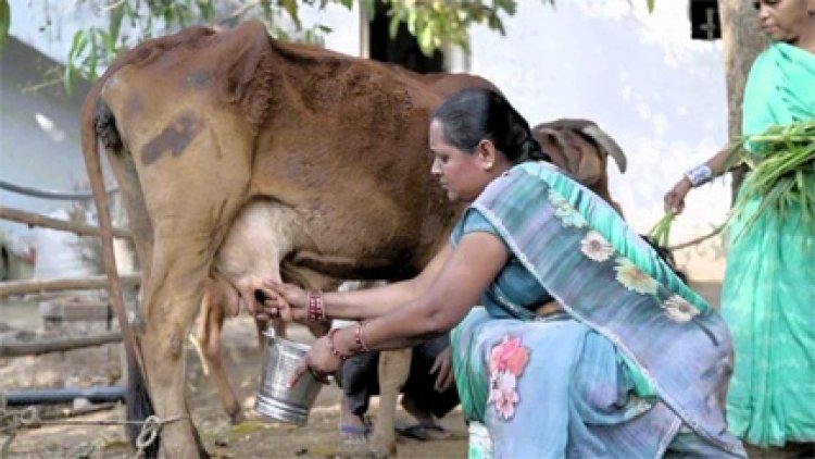 छत्तीसगढ़ का ‘लखपति ग्राम’: हर घर में हैं संपन्न महिलाएँ