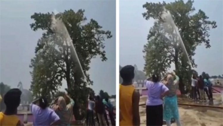 छत्तीसगढ़ में अनोखी बचाव ऑपरेशन: तोते के लिए बड़ी टीम तैनात