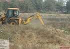बिलासपुर की लाइफलाइन अरपा के तट पर उगेगा मियावाकी जंगल