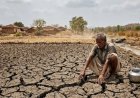 छत्तीसगढ़ के किसानों पर एल नीनो का असर, मानसून की दस्तक में हो सकती है देरी