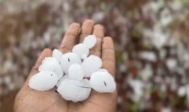 छत्तीसगढ़ में तेज आंधी, रफ्तार 50 किमी/घंटा तक