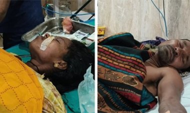 राजनांदगांव: जंगली सूअर का हमला, एक ग्रामीण की हालत गंभीर