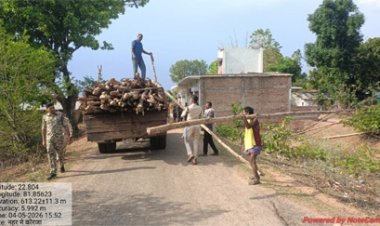 गौरेला क्षेत्र में सागौन की अवैध कटाई पर वन विभाग की बड़ी कार्रवाई