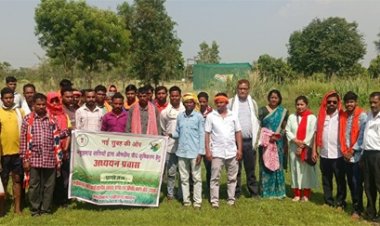 अबूझमाड़ में औषधीय खेती की नई सुबह अब धान नहीं, बच और ब्राह्मी से बढ़ेगी किसानों की आय