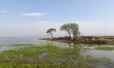 कोपरा जलाशय- स्थानीय समुदाय और महिला समूहों के सहयोग से बनेगा आदर्श इको-टूरिज्म स्पॉट