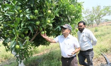 फसल विविधिकरण से बदली किसान कुंवर सिंह मधुकर की तस्वीर