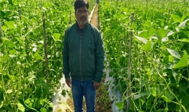 उद्यानिकी की आधुनिक तकनीकों से किसान महेश कश्यप की बदली तकदीर