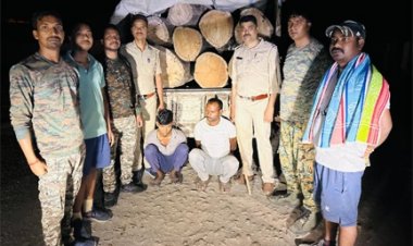 ’अवैध लकड़ी परिवहन पर बड़ी कार्रवाई, 8 नग साल लट्ठा सहित पिकअप वाहन जब्त’
