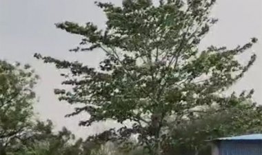 भीषण गर्मी के लिए रहें तैयार, छत्तीसगढ़ में हीट-वेव अलर्ट जारी
