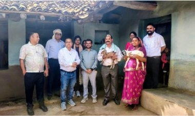 ’बिहान योजना से बदली किस्मत- बकरी पालन ने उदकुंवर भानु को बनाया लखपति दीदी’