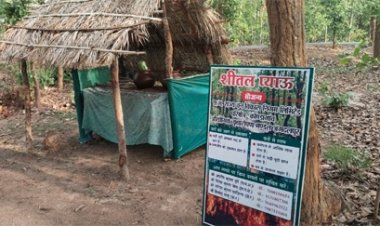 वन विकास निगम की अनूठी पहल : सार्वजनिक प्याऊ से  प्यास भी बुझा रहे, जंगलों को आग से भी बचा रहे