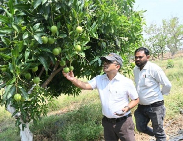फसल विविधिकरण से बदली किसान कुंवर सिंह मधुकर की तस्वीर