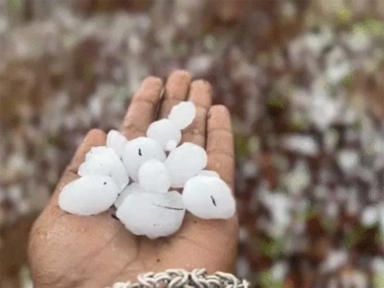 छत्तीसगढ़ में तेज आंधी, रफ्तार 50 किमी/घंटा तक