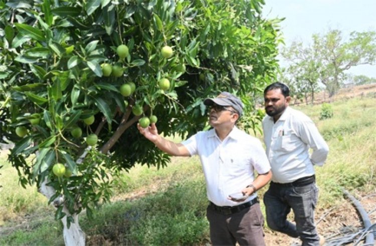 फसल विविधिकरण से बदली किसान कुंवर सिंह मधुकर की तस्वीर