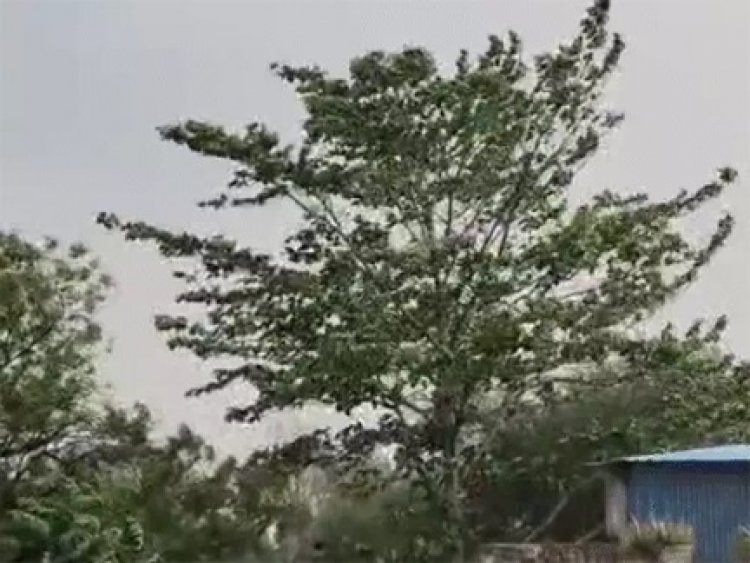 भीषण गर्मी के लिए रहें तैयार, छत्तीसगढ़ में हीट-वेव अलर्ट जारी