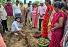 नगरी में हल्दी की वैज्ञानिक खेती को मिलेगा नया आयाम