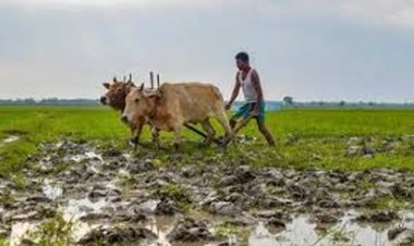 खेत बचाओ अभियान को मिल रहा जनसमर्थन