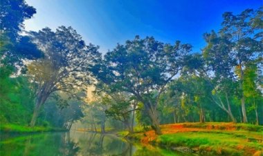 विश्व पर्यावरण दिवस 2026 : हरित विकास, जल संरक्षण और जनभागीदारी से पर्यावरणीय समृद्धि की ओर बढ़ता छत्तीसगढ़