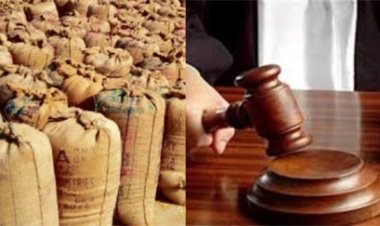 "चूहों के बहाने पर हाईकोर्ट सख्त, राहत से इनकार"