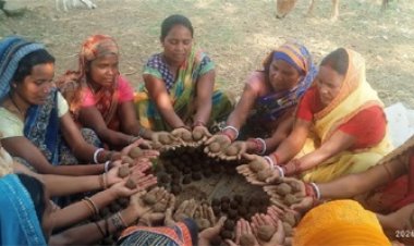 सीड बॉल बनाकर प्रकृति संरक्षण की अनूठी पहल, हरित जशपुर के निर्माण पर जोर