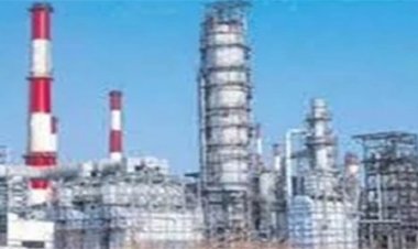 CSIDC का बड़ा एक्शन, 800 उद्योगपतियों से जवाब तलब