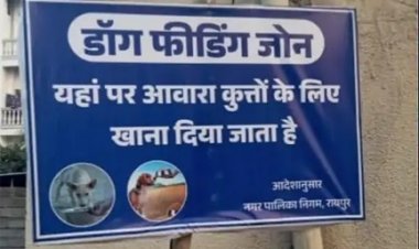 आवारा कुत्तों की फीडिंग पर नया नियम