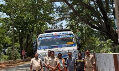 अवैध खनिज परिवहन पर बड़ी कार्रवाई: बिना अभिवहन पास चूना पत्थर गिट्टी से भरे 3 ट्रेलर जब्त