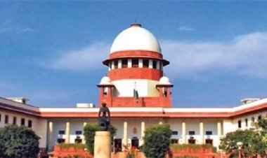 सट्टा केस में शहबाज को मिली अंतरिम जमानत