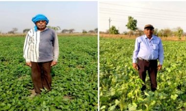 बेमेतरा जिले में दलहन के रकबे में चार गुना की वृद्धि