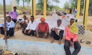 जमीन निगल गई या आसमान? 16 भैंसों का सुराग नहीं