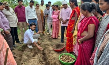 धमतरी का 'नगरी' बनेगा हल्दी उत्पादन का नया हब: 250 किसानों ने थामा वैज्ञानिक खेती का हाथ, 250 टन पैदावार का लक्ष्य