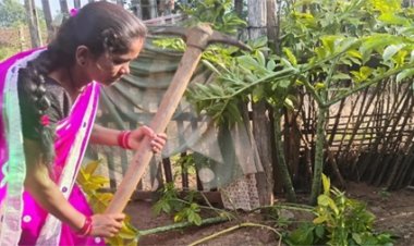जिमीकंद से बदली 9,936 महिलाओं की तकदीर