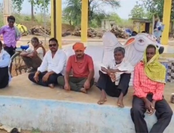 जमीन निगल गई या आसमान? 16 भैंसों का सुराग नहीं